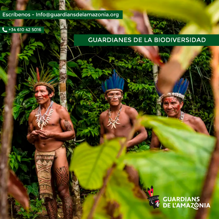Lee más sobre el artículo LOS GUARDIANES DE LA BIODIVERSIDAD