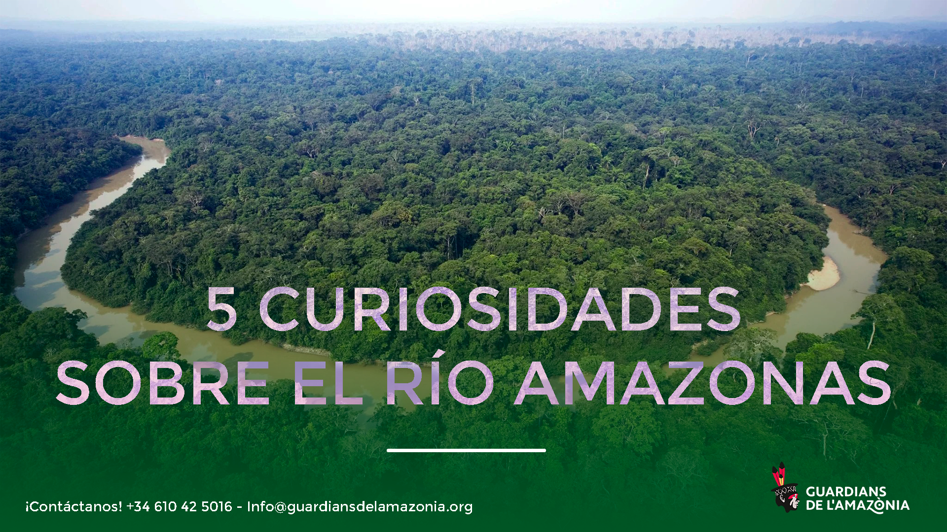 5 CURIOSIDADES SOBRE EL RÍO AMAZONAS
