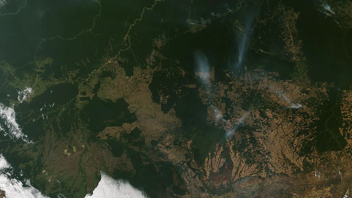 Imagen de satélite del norte de Sudamérica con columnas de humo sobre la selva