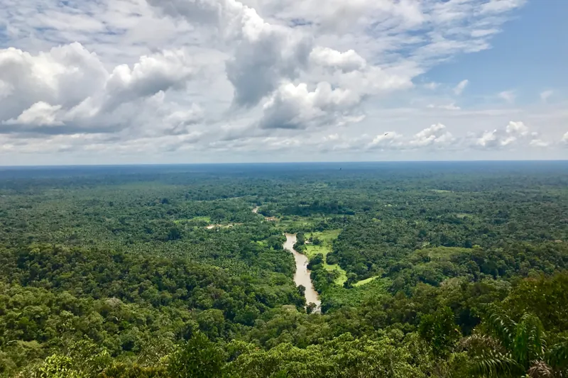 Vista desde lo alto de la selva del valle del Juruá, con un río que serpentea entre los árboles